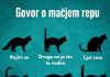 RAZUMIJEVANJE “GOVORA” MAČIJEG REPA