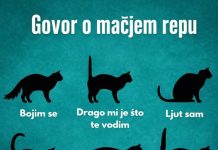 RAZUMIJEVANJE “GOVORA” MAČIJEG REPA