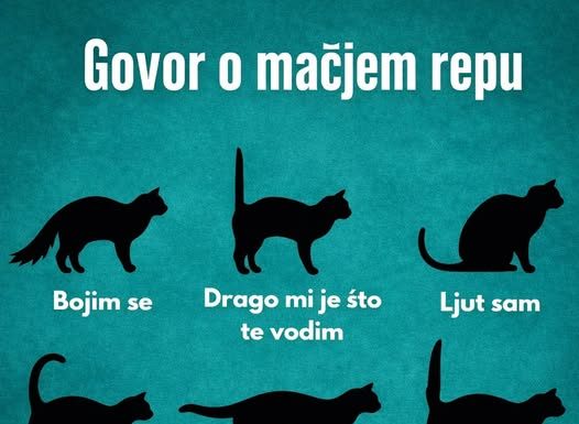 RAZUMIJEVANJE “GOVORA” MAČIJEG REPA