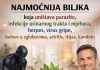 Najvrijednija biljka u prirodnoj medicini zbog svojih brojnih prednosti