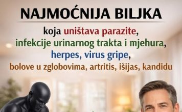 Najvrijednija biljka u prirodnoj medicini zbog svojih brojnih prednosti