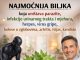 Najvrijednija biljka u prirodnoj medicini zbog svojih brojnih prednosti