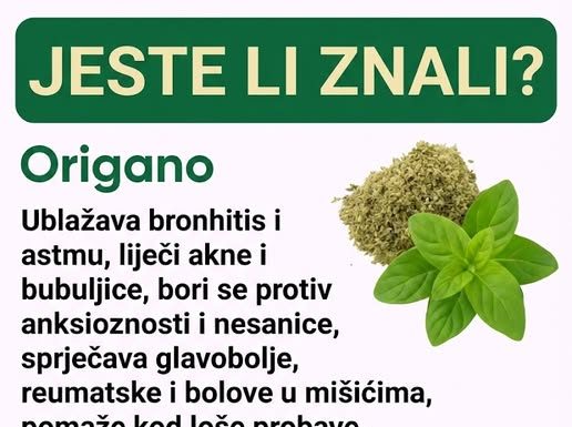 Otkrijte zašto je origano prirodna podrška koju vaše tijelo može cijeniti