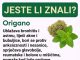 Otkrijte zašto je origano prirodna podrška koju vaše tijelo može cijeniti