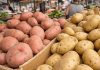 Stručnjaci otkrili: Da li je bolji crveni ili bijeli krompir?