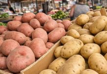 Stručnjaci otkrili: Da li je bolji crveni ili bijeli krompir?