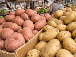 Stručnjaci otkrili: Da li je bolji crveni ili bijeli krompir?