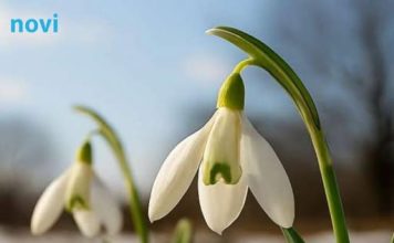 Prvo džemre ‘udara’ u zrak 19. februara: Evo šta to znači