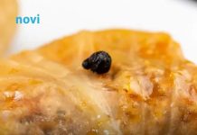 Da li u sarmu idu jaja? Istina koja dijeli kuhinje na dva tabora