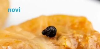 Da li u sarmu idu jaja? Istina koja dijeli kuhinje na dva tabora