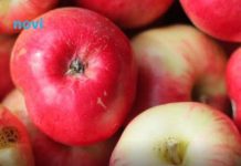 Svaki dan jedete jabuke? Evo šta se događa u vašem tijelu dok uzimate ovo voće