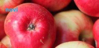 Svaki dan jedete jabuke? Evo šta se događa u vašem tijelu dok uzimate ovo voće