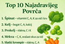 TOP 1O NAJZDRAVIJEG POVRĆA