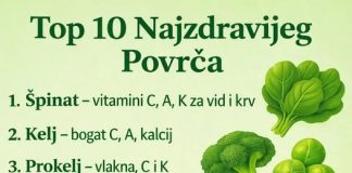 TOP 1O NAJZDRAVIJEG POVRĆA