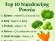 TOP 1O NAJZDRAVIJEG POVRĆA