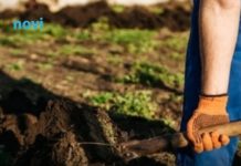 Krenite na vrijeme: Šta se sije u martu da bi vam bašta u maju bila puna plodova