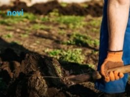 Krenite na vrijeme: Šta se sije u martu da bi vam bašta u maju bila puna plodova