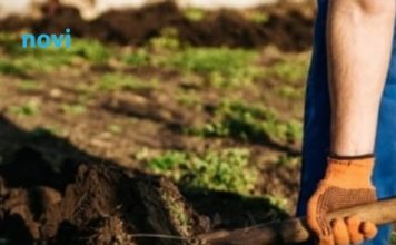 Krenite na vrijeme: Šta se sije u martu da bi vam bašta u maju bila puna plodova