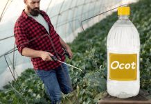 7 neobičnih načina upotrebe sirćeta u gredicama i vrtu: VRTLARI, ZAPAMTITE OVO ZA CIJELU GODINU!