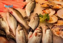 Najgora vrsta ribe: Razara srce i diže holesterol, svi je rado kupuju