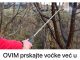 OVIM prskajte VOĆKE već u februaru: NIJEDNA gljivica ili ŠTETOČINA neće imati šanse!