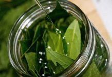 Biljka koja pročišćava organizam za tri dana: Ispire toksine i soli iz tijela