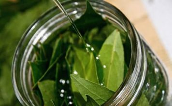 Biljka koja pročišćava organizam za tri dana: Ispire toksine i soli iz tijela