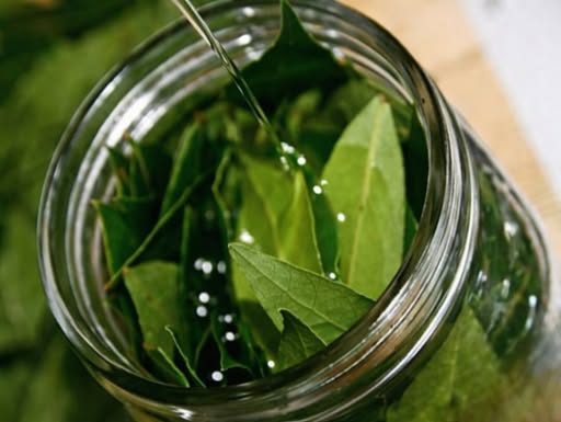 Biljka koja pročišćava organizam za tri dana: Ispire toksine i soli iz tijela