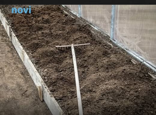 7 vrsta povrća koje se ne đubre nikad: Rastu samo od vode i sunca