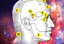 KOD GLAVOBOLJE, MORATE LIJEČITI ORGAN U KOME SE BOLEST JAVLJA, A NE GLAVU