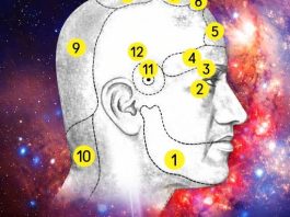 KOD GLAVOBOLJE, MORATE LIJEČITI ORGAN U KOME SE BOLEST JAVLJA, A NE GLAVU