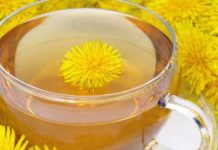 13 razloga da ovog proljeća pijete čaj od maslačka!