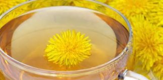 13 razloga da ovog proljeća pijete čaj od maslačka!