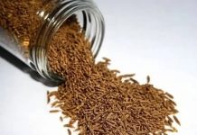 UBICA GOJAZNOSTI: Ovaj začin topi masne naslage veoma brzo