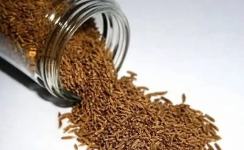 UBICA GOJAZNOSTI: Ovaj začin topi masne naslage veoma brzo