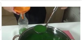 RAKIJA OD ŽALFIJE JAČA JE OD SVAKE HEMIJE: Ova 3 Recepta Obavezno Čuvajte Za Zdravlje Vas I Vaše Porodice