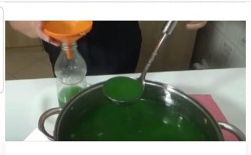 RAKIJA OD ŽALFIJE JAČA JE OD SVAKE HEMIJE: Ova 3 Recepta Obavezno Čuvajte Za Zdravlje Vas I Vaše Porodice