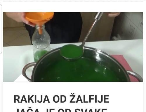 RAKIJA OD ŽALFIJE JAČA JE OD SVAKE HEMIJE: Ova 3 Recepta Obavezno Čuvajte Za Zdravlje Vas I Vaše Porodice