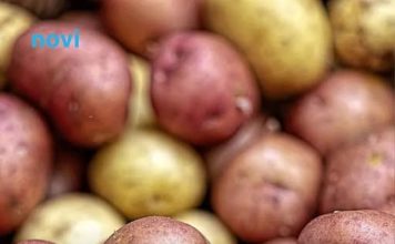 Ovaj stari trik naših baka garantuje rekordni prinos luka i krompira – bez ijedne kapi hemije!