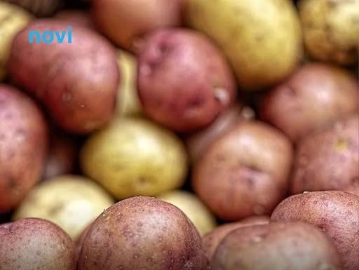 Ovaj stari trik naših baka garantuje rekordni prinos luka i krompira – bez ijedne kapi hemije!