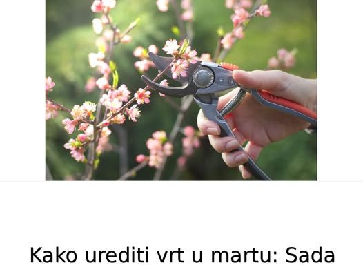 Kako urediti vrt u martu: Sada se postavljaju temelji bašte koja će cvetati sve do kasne jeseni