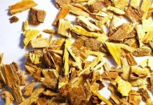 Vrbina kora – prirodni aspirin: Evo kako je možete koristiti!