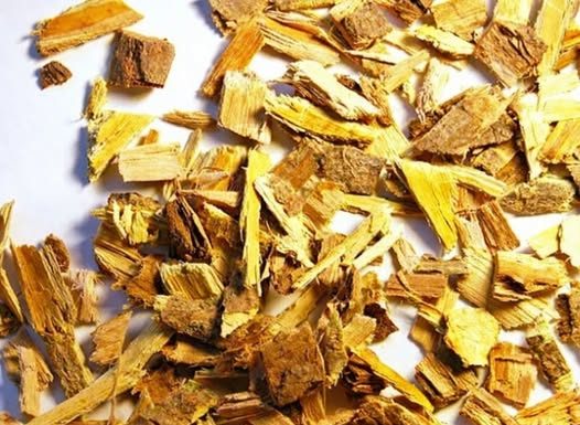 Vrbina kora – prirodni aspirin: Evo kako je možete koristiti!