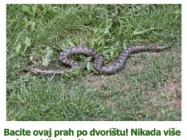 Bacite ovaj prah po dvorištu! Nikada više nećete vidjeti zmije