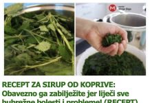 RECEPT ZA SIRUP OD KOPRIVE: Obavezno ga zabilježite jer liječi sve bubrežne bolesti i probleme! (RECEPT)
