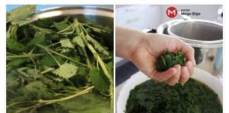 RECEPT ZA SIRUP OD KOPRIVE: Obavezno ga zabilježite jer liječi sve bubrežne bolesti i probleme! (RECEPT)