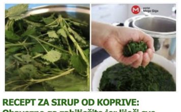 RECEPT ZA SIRUP OD KOPRIVE: Obavezno ga zabilježite jer liječi sve bubrežne bolesti i probleme! (RECEPT)