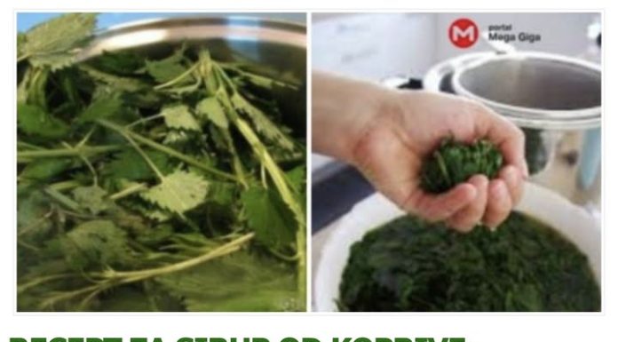 RECEPT ZA SIRUP OD KOPRIVE: Obavezno ga zabilježite jer liječi sve bubrežne bolesti i probleme! (RECEPT)
