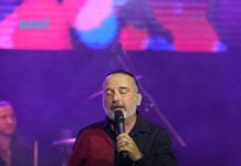 Evo koliko karata je Cetinski prodao za novosadski koncert koji je otkazao