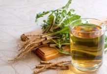 4 prirodna saveznika: Biljni čajevi mogu da ubrzavaju proces regeneracije jetre, a uspore otkazivanje organa